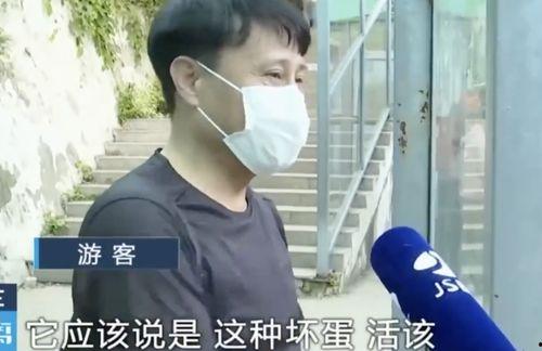 网红男朋友吃瓜爆料,娱乐圈背后的惊人真相