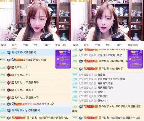 胡桃爆料主播视频全集在线观看,揭秘幕后真相与精彩瞬间