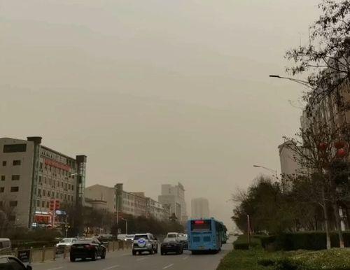 西安长丰园爆料案件最新,揭秘背后惊人真相