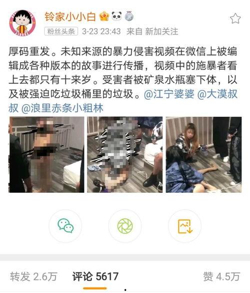网赌陈先生爆料了吗视频,爆料视频曝光惊人真相