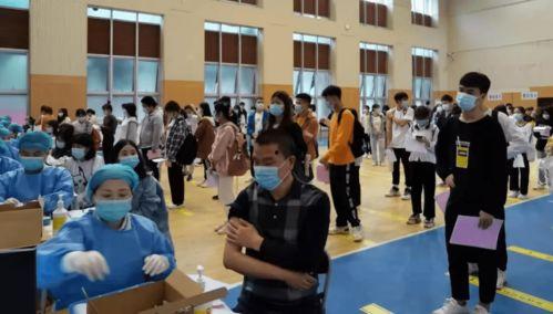 石家庄钢铁爆料最新消息,揭秘行业动态与重大进展