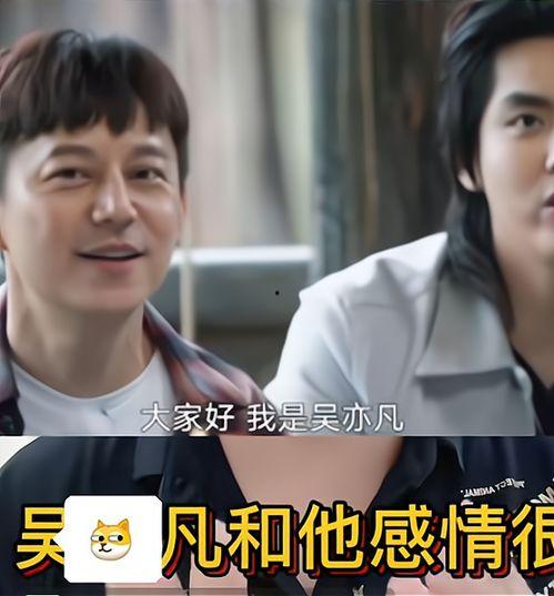 娱乐圈大瓜爆料视频合集,揭秘明星幕后真相