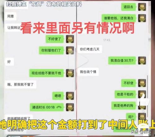 打假博主爆料东北雨姐原视频,打假博主揭露惊人内幕