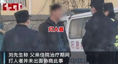 郑州刘先生爆料最新消息,揭秘事件背后惊人真相