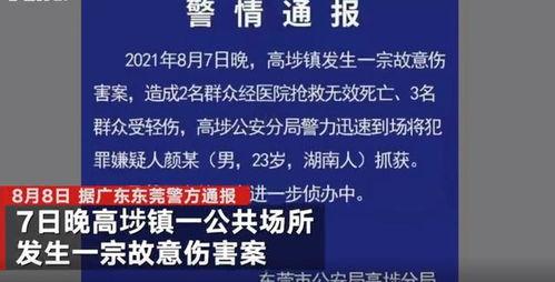东莞高埗新闻爆料电话,揭秘城市脉搏，倾听民声心声