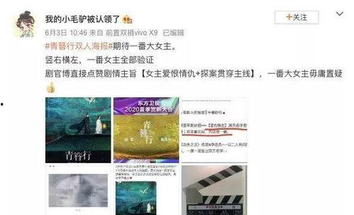 10月份爆料的娱乐圈瓜,揭秘明星背后的秘密与风波
