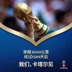 世界杯热点爆料新闻,独家爆料揭示赛场背后惊天内幕