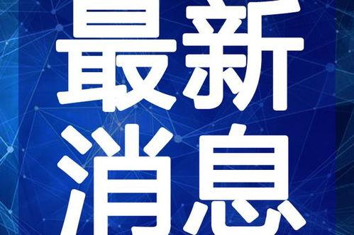 东台网红爆料视频最新,揭秘幕后真相，带你走进真实事件现场