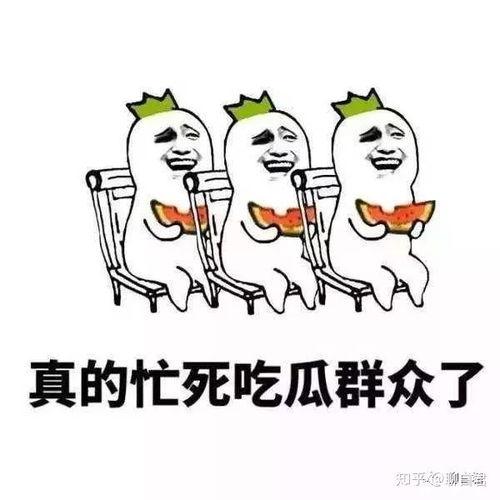 吃瓜看戏免费全集,揭秘娱乐圈背后的风云变幻