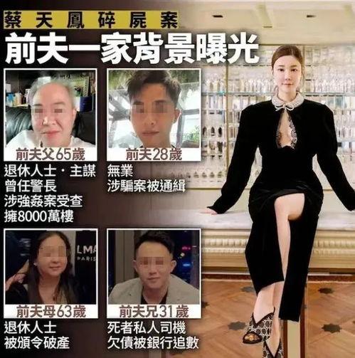 网友爆料蔡天凤事件视频,网友爆料视频揭露惊人真相