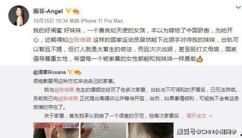 老马老婆爆料视频大全集,揭秘不为人知的背后故事