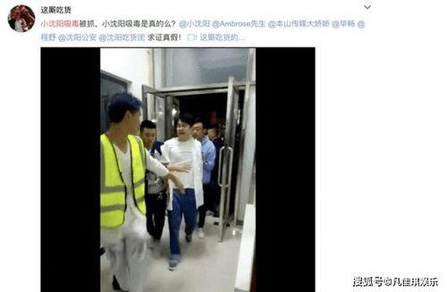 老马老婆爆料视频大全集,揭秘不为人知的背后故事