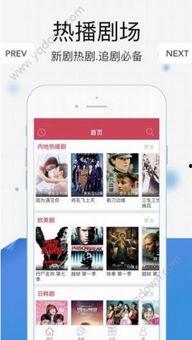91最新在线视频观看,热门内容盘点与趋势分析