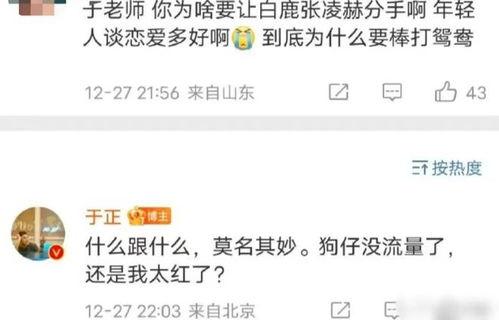 白鹿爆料绯闻视频大全最新,揭秘娱乐圈最新热点事件