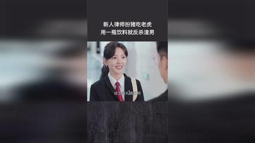新手律师在线观看,从入门到精通