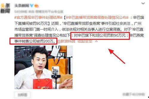 爆料辛巴燕窝视频大全集,全程回顾与深度解析