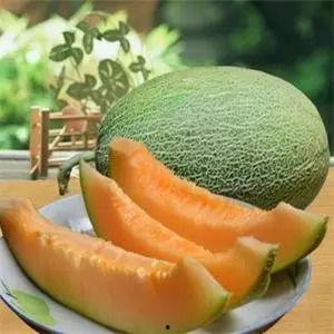 郑州吃哈密瓜网红,哈密瓜美食之旅