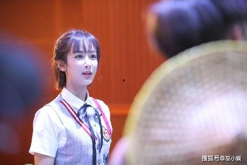 每日娱乐爆料杨紫,每日娱乐爆料揭秘