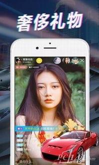 鸡哥爆料直播视频大全下载,揭秘精彩瞬间，重温经典时刻