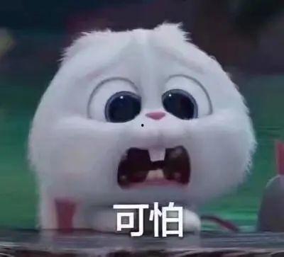 厦门网红吃瓜事件真相揭秘,揭秘背后真相与争议