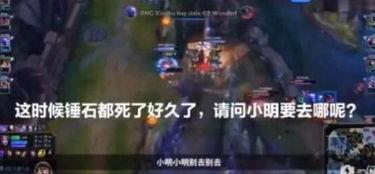 黑龙爆料假拳视频大全,假拳视频大全深度解析