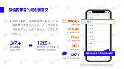 泉城爆料美食视频下载软件,揭秘爆款下载软件，尽享地道风味