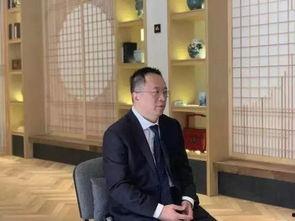 沈南鹏妻子爆料视频,揭秘豪门背后的真相