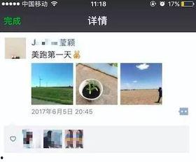 近期视频爆料最新网站,最新网站爆料，带你一探究竟！