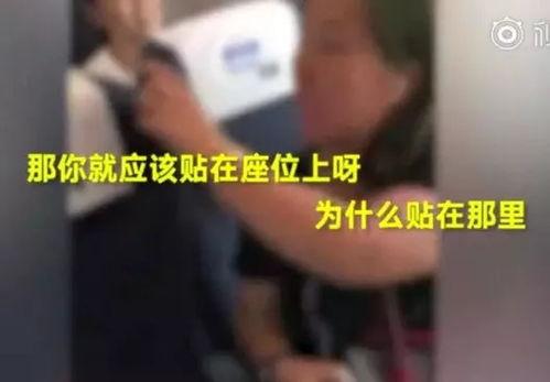 荷兰回应内讧视频爆料,官方回应与真相揭秘