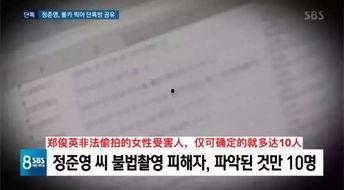 在线观看偷拍啪啪,揭秘网络偷拍啪啪事件背后的真相