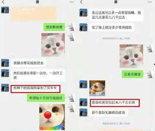 谭竹爆料胖猫冷暴力视频,胖猫冷暴力视频引发网友热议
