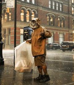 外国人看鸣潮最新爆料,外国人视角下的游戏魅力揭秘