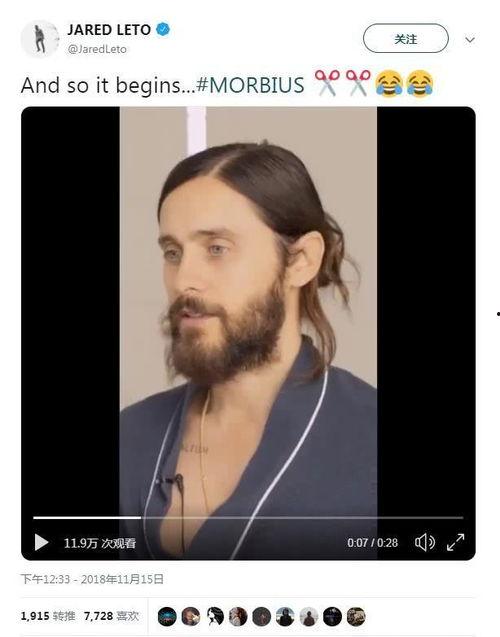 独家爆料辣胡子视频大全,独家爆料，揭秘辣胡子们的精彩瞬间