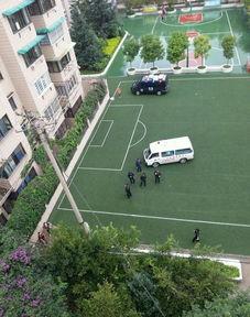 昆明小学生爆料事件最新,揭开校园安全隐秘面纱