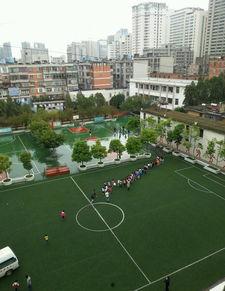 昆明小学生爆料事件最新,揭开校园安全隐秘面纱