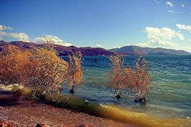 大理新闻最新爆料,最新爆料事件深度解析