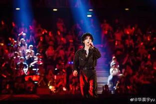 演唱会解说爆料视频,解说爆料视频深度解析