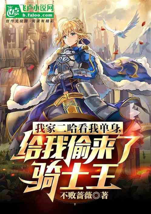 单身骑士在线观看,浪漫冒险，邂逅未知爱情