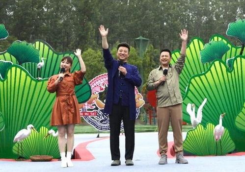 狗仔铁锤爆料视频大全最新,娱乐圈幕后真相大揭秘