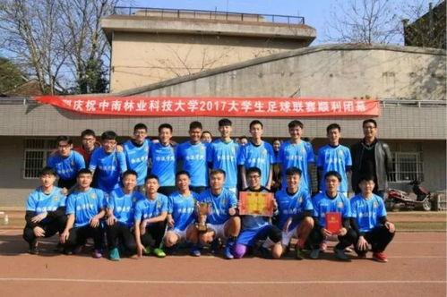 福山新闻大爆料,揭秘幕后真相，带你走进事件核心