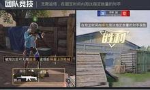 和平精灵爆料视频大全,揭秘神秘世界背后的故事