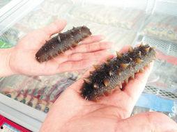 海参哥最新爆料图片高清,高清爆料图片背后的惊人真相