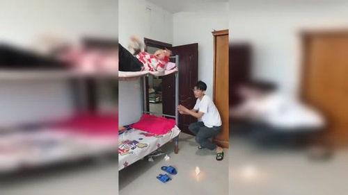 大学宿舍搞笑视频爆料,搞笑视频揭秘大学生活趣事