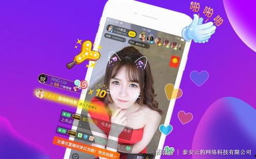 艺涵直播爆料冰岛视频,艺涵直播揭秘神秘自然风光