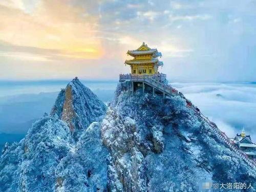 老君山真实爆料视频大全,真实爆料视频大全背后的震撼瞬间