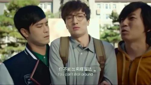 疯狂学弟在线观看,在线观看，笑翻校园的青春传奇