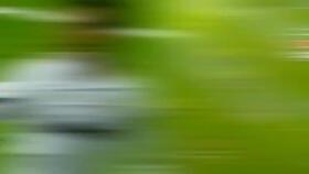 马老师爆料太极视频完整版,太极视频完整版深度解析