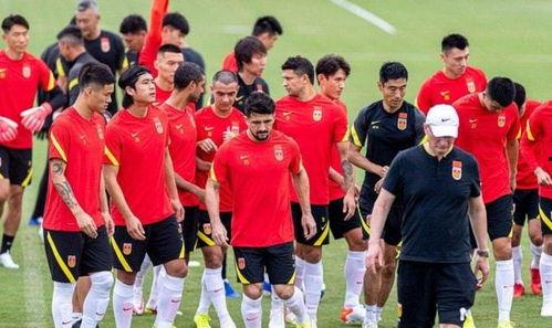 阿姨爆料国足视频在线,揭秘赛场幕后真相