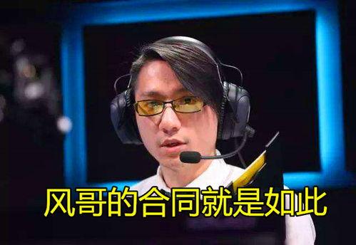 风哥爆料老板是谁视频,老板身份大起底！