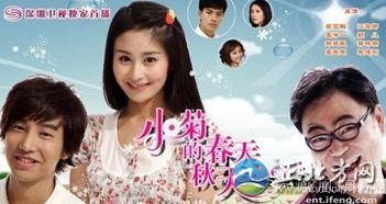 小菊的春天在线观看,一场青春的蜕变之旅